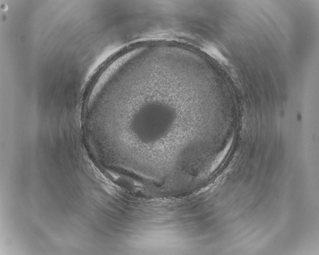 X0000088591216200706151728