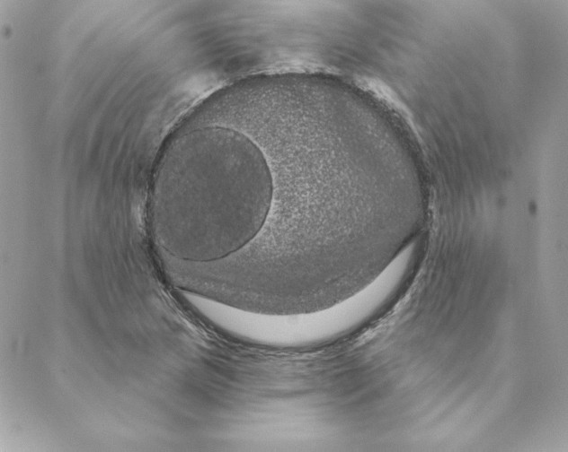 X0000088591217200706151728