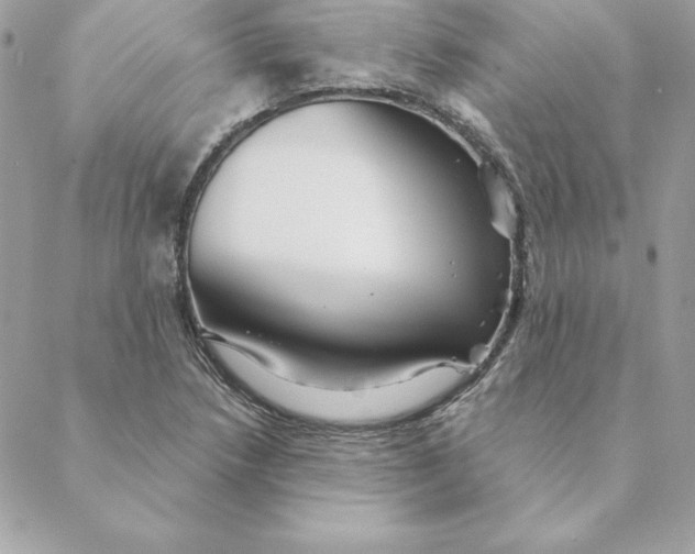 X0000088591218200706151728