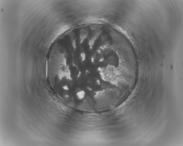 X0000088591219200706151728