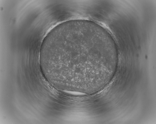 X0000088591220200706151728