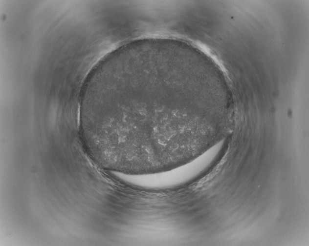 X0000088591221200706151728