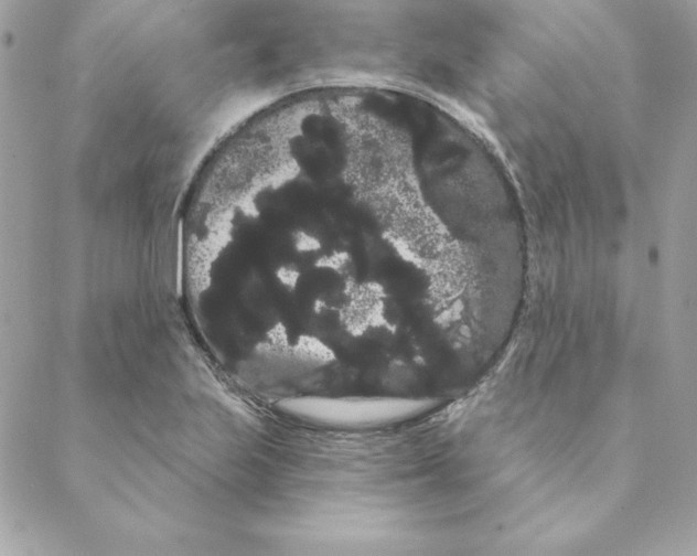 X0000088591223200706151728