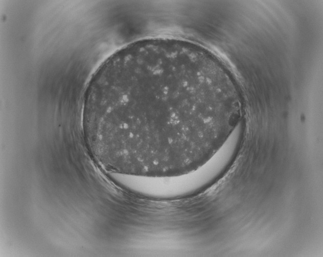 X0000088591224200706151728