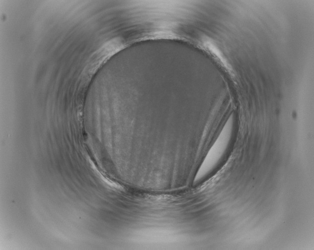 X0000088591225200706151728