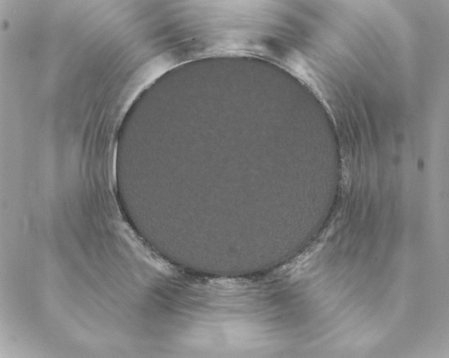 X0000088591227200706151728