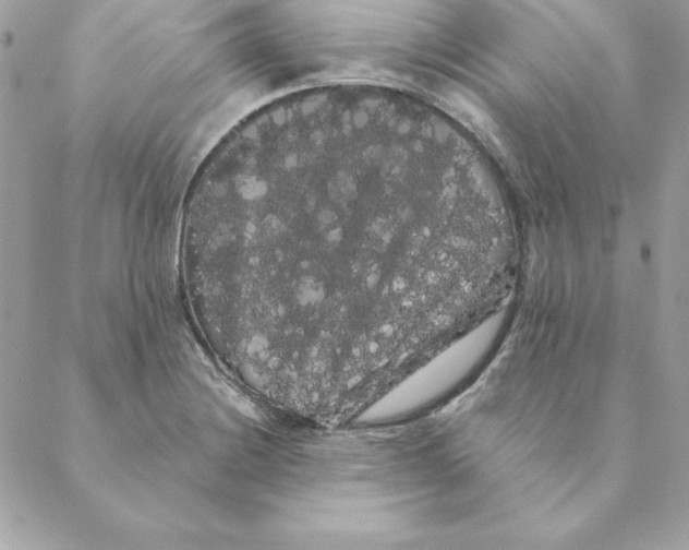 X0000088591228200706151728