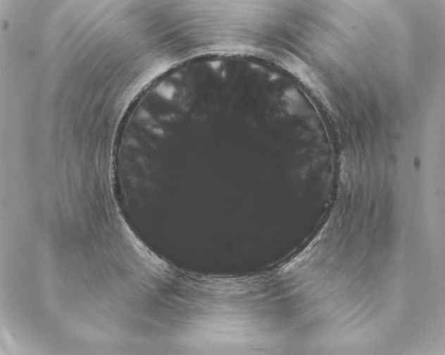 X0000088591229200706151728