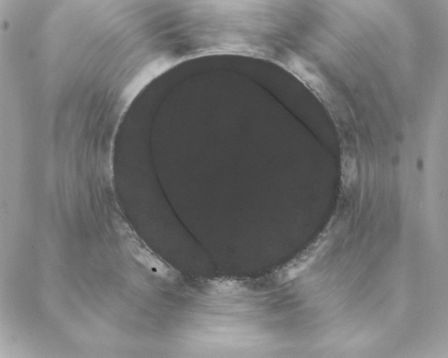 X0000088591230200706151728