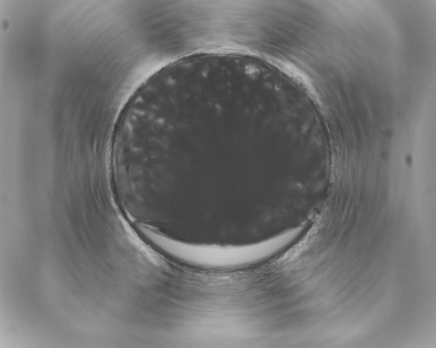 X0000088591231200706151728