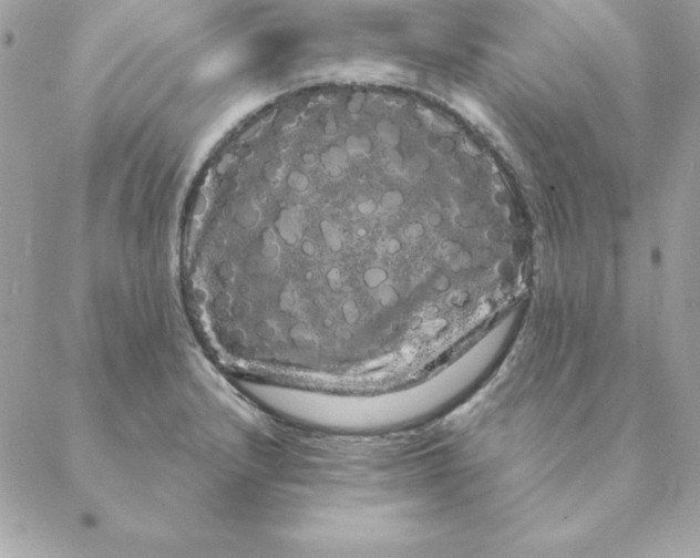 X0000088591232200706151728