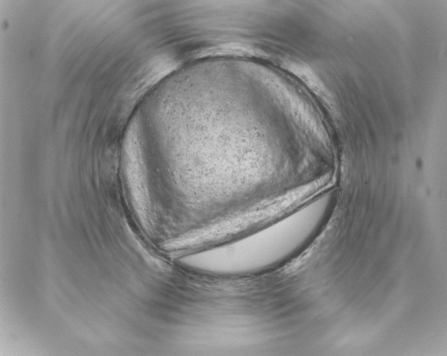 X0000088591233200706151728