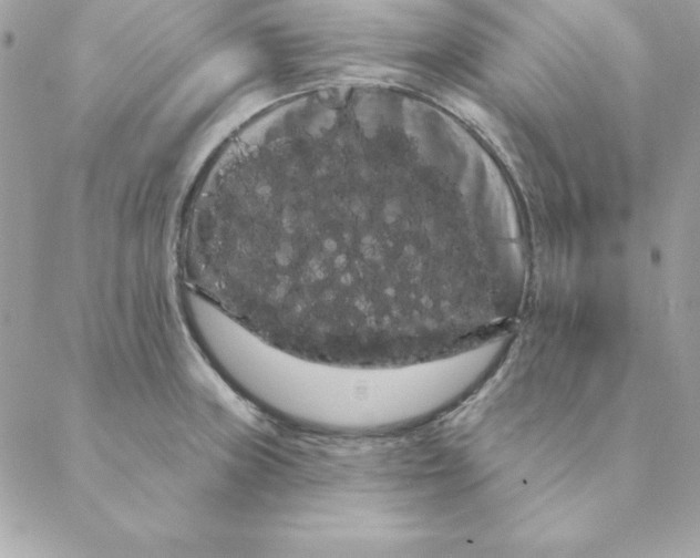 X0000088591235200706151728