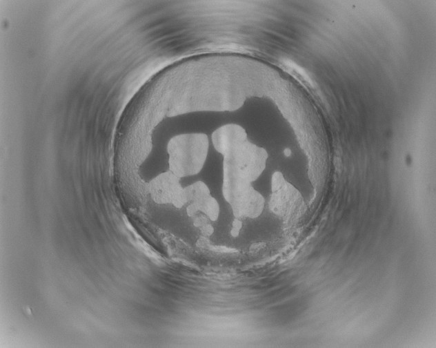 X0000088591236200706151728