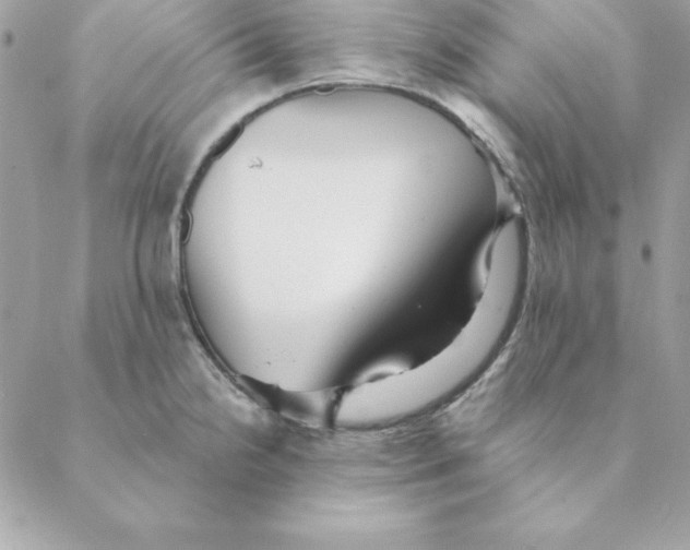 X0000088591238200706151728