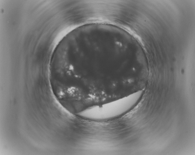 X0000088591239200706151728