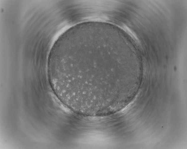 X0000088591240200706151728