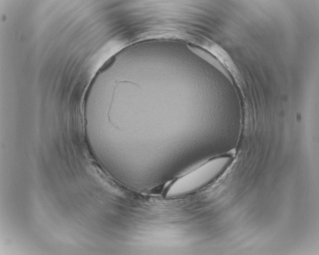 X0000088591242200706151728