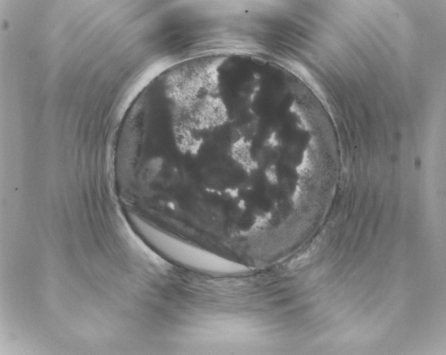 X0000088591243200706151728