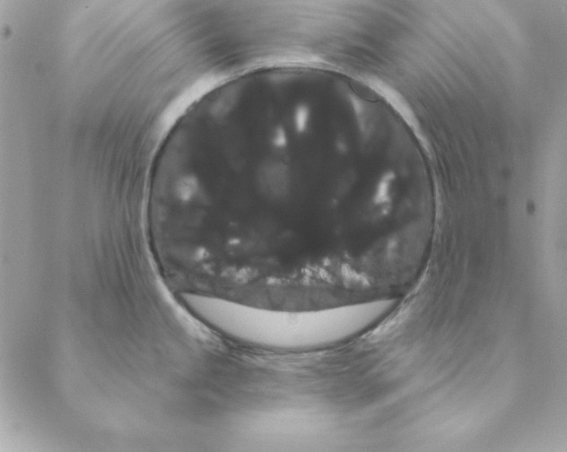 X0000088591245200706151728