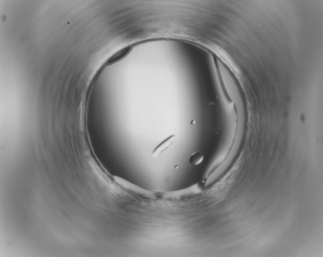 X0000088591246200706151728