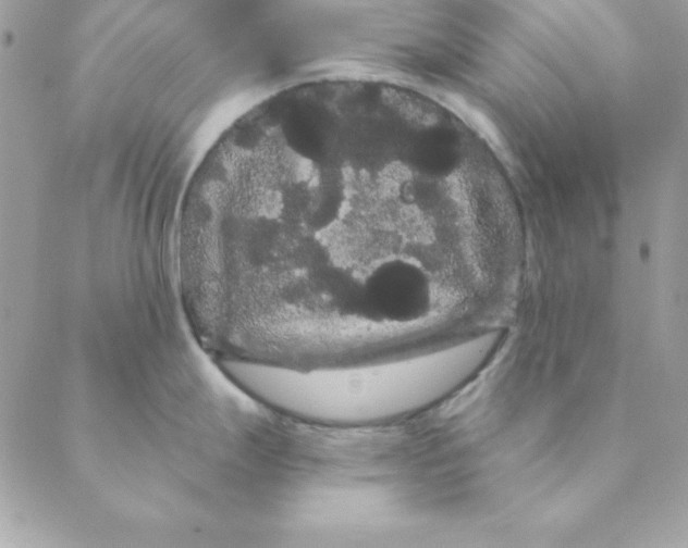 X0000088591247200706151728