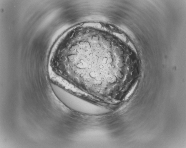 X0000088591248200706151728