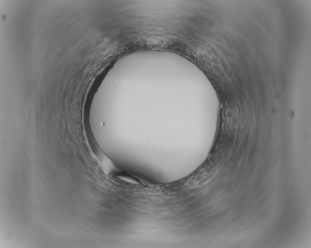 X0000088591249200706151728