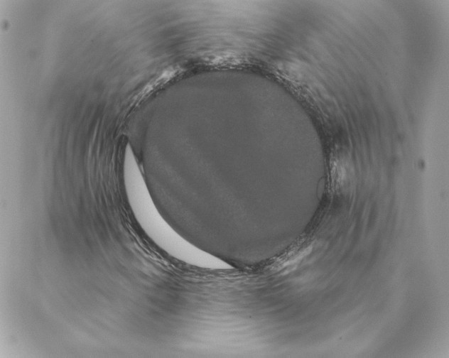 X0000088591250200706151728