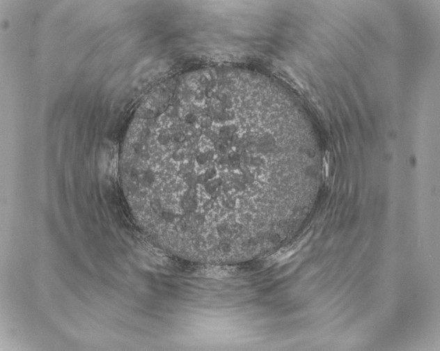 X0000088591251200706151728