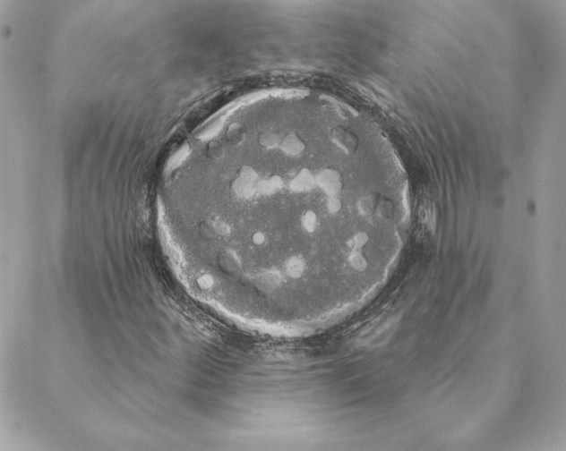 X0000088591252200706151728