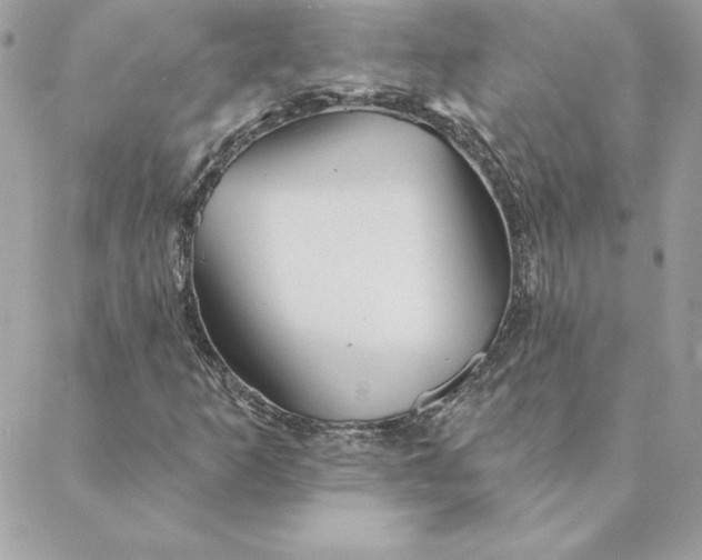 X0000088591253200706151728