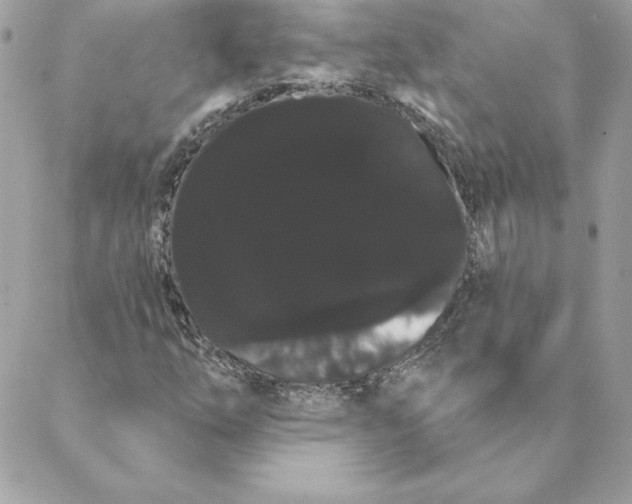 X0000088591254200706151728