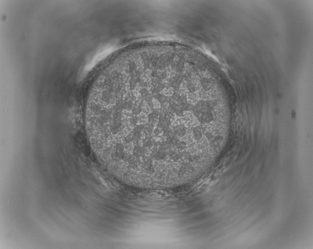 X0000088591255200706151727