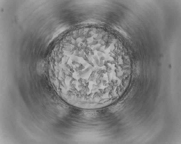 X0000088591258200706151727