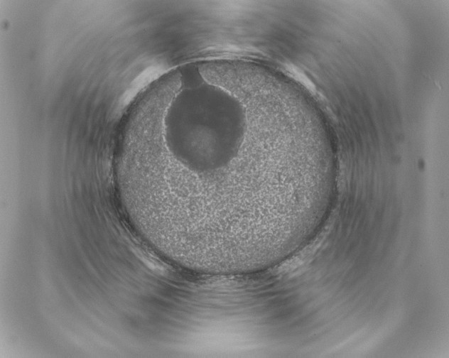 X0000088591259200706151727