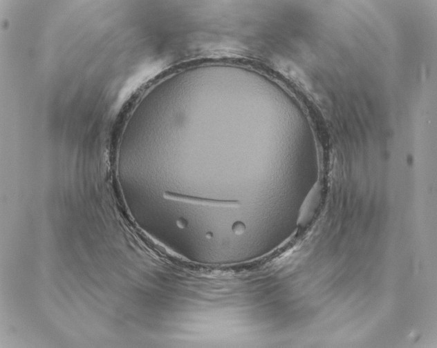 X0000088591261200706151727