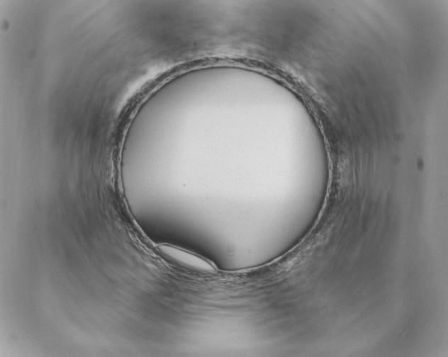 X0000088591262200706151727