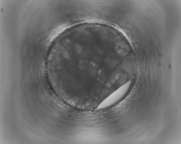 X0000088591263200706151727