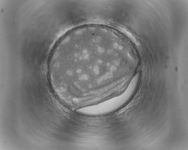 X0000088591264200706151727