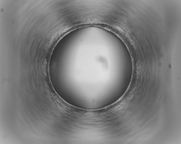 X0000088591265200706151727