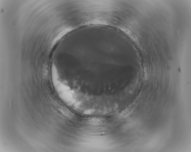 X0000088591266200706151727