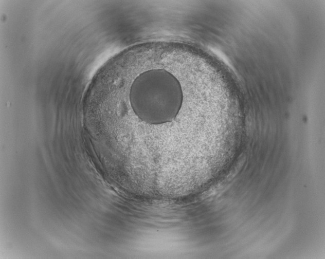 X0000088591267200706151727