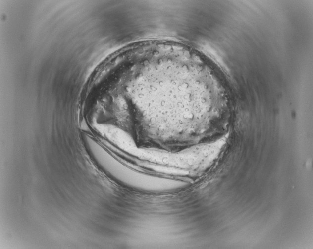 X0000088591268200706151727