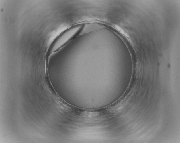 X0000088591269200706151727