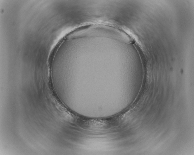 X0000088591270200706151727