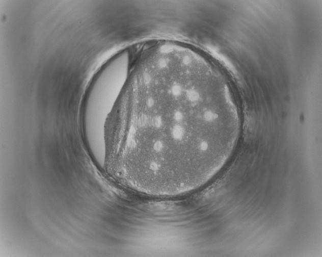 X0000088591272200706151727