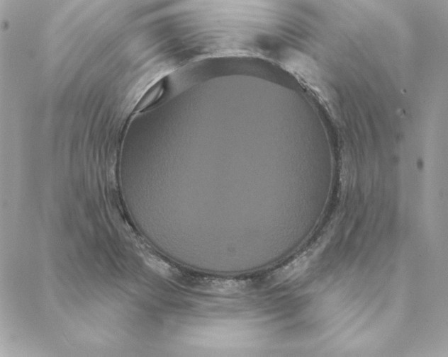 X0000088591273200706151727