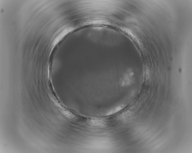 X0000088591274200706151727