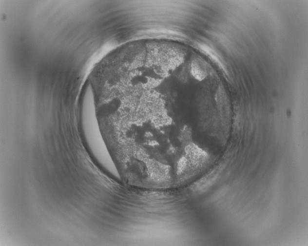 X0000088591275200706151727